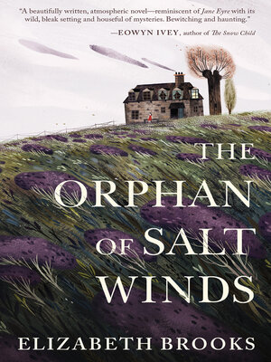 The Orphan of Salt Winds - ebook